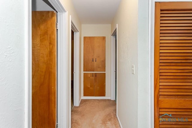 564 Southfield Dr, Maumee, OH 43537 - hallway featuring carpet flooring and a textured wall
