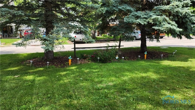 403 W Chestnut St, Wauseon, OH 43567 - view of green lawn