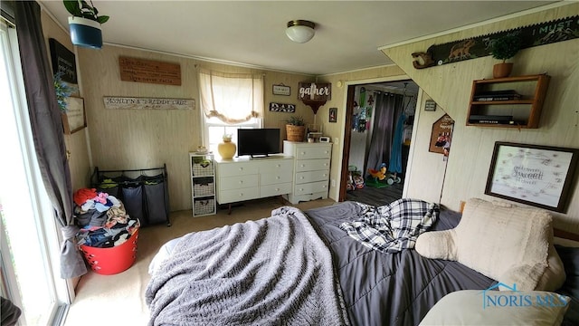 403 W Chestnut St, Wauseon, OH 43567 - carpeted bedroom with wooden walls