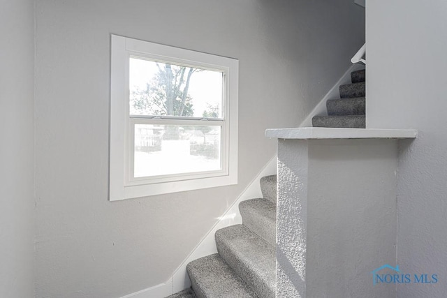 2242 Vaness Dr, Toledo, OH 43615 - view of stairs