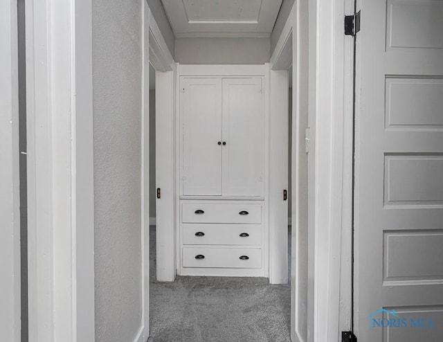 2242 Vaness Dr, Toledo, OH 43615 - hall featuring carpet flooring and a textured wall