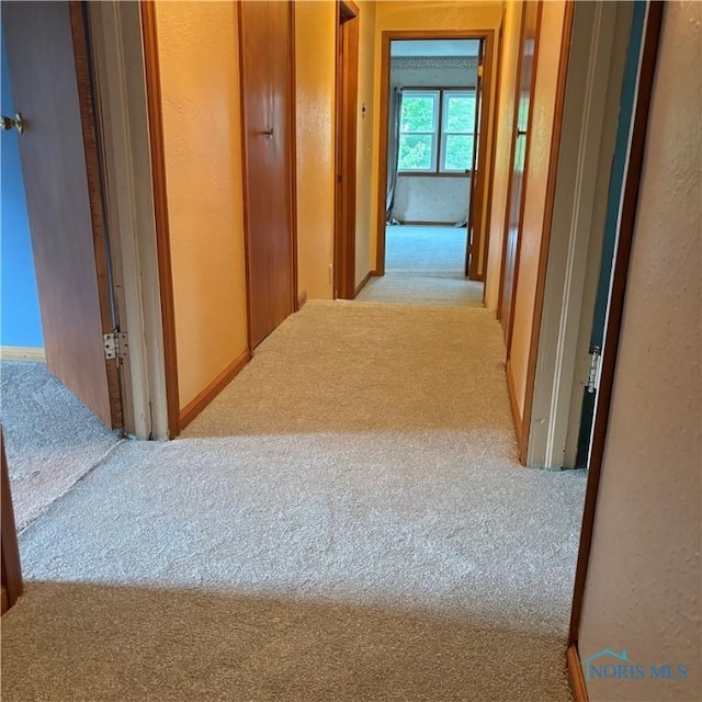 404 E Garfield Ave, Swanton, OH 43558 - hallway featuring carpet flooring and a textured wall