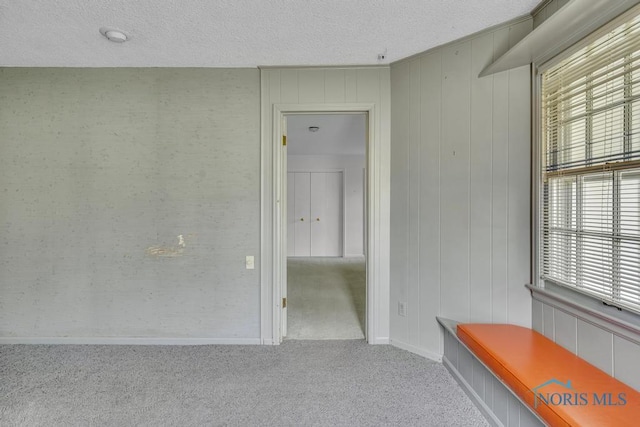 3733 Shamrock Dr, Toledo, OH 43615 - hall with carpet flooring and a textured ceiling