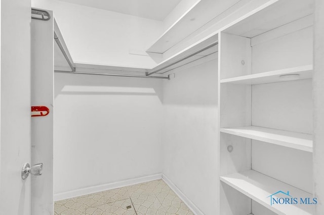 3733 Shamrock Dr, Toledo, OH 43615 - view of spacious closet