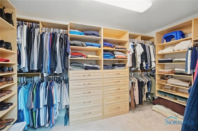 3862 Ravine Hollow Ct, Maumee, OH 43537 - spacious closet with carpet floors