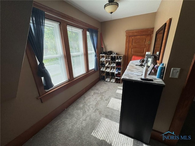 506 Ditto St, Archbold, OH 43502 - office featuring light colored carpet