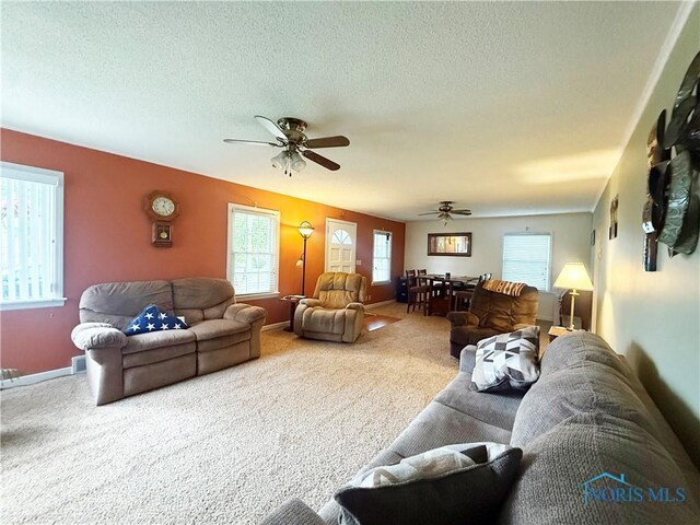 703 College Ave, Fostoria, OH 44830 - living area with a ceiling fan, carpet, and a textured ceiling