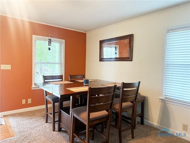 703 College Ave, Fostoria, OH 44830 - carpeted dining room with crown molding and a textured ceiling