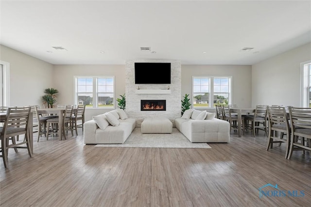 3343 Moonlit Pass, Monclova, OH 43542 - living area featuring plenty of natural light, wood finished floors, and a stone fireplace