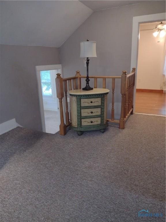 200 Pleasant St, Archbold, OH 43502 - bonus room with lofted ceiling and carpet floors