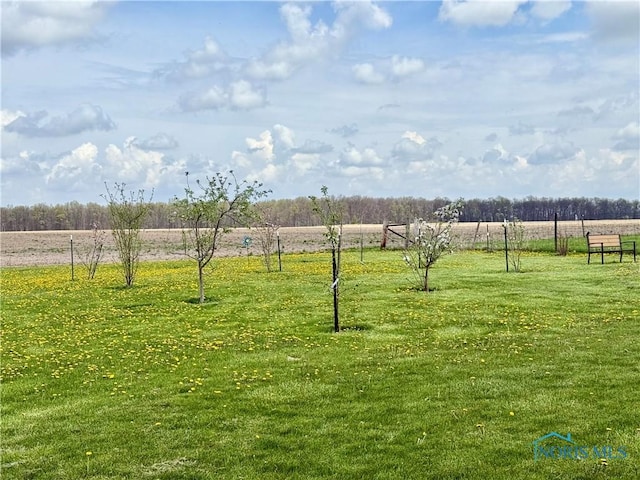 18241 Rd 218, Defiance, OH 43512 - photo 29