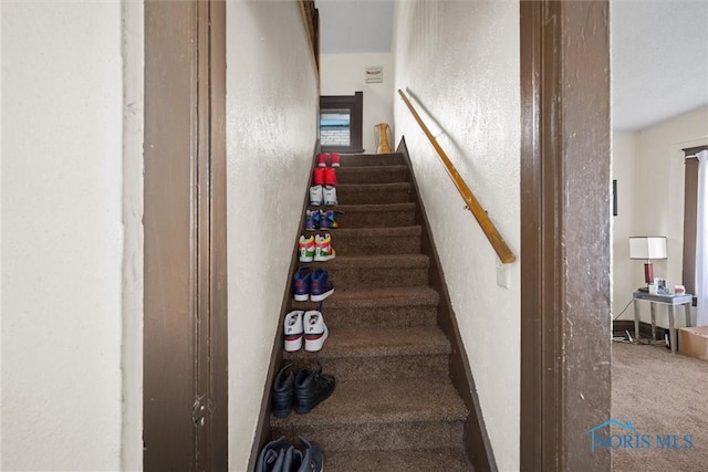 743 Clark St, Toledo, OH 43605 - staircase featuring carpet and a textured wall