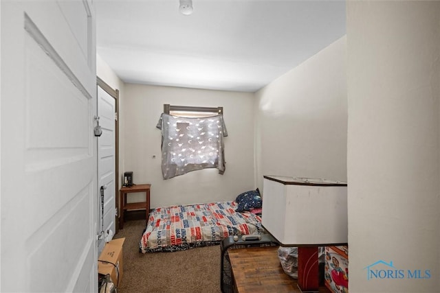 743 Clark St, Toledo, OH 43605 - bedroom with carpet