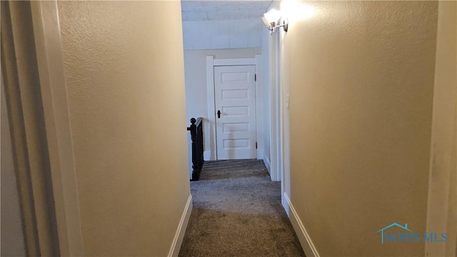 4024 Commonwealth Ave, Toledo, OH 43612 - corridor with dark colored carpet and a textured wall