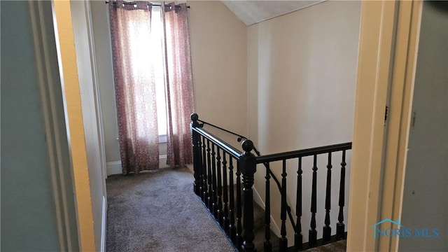 4024 Commonwealth Ave, Toledo, OH 43612 - staircase with healthy amount of natural light and carpet flooring