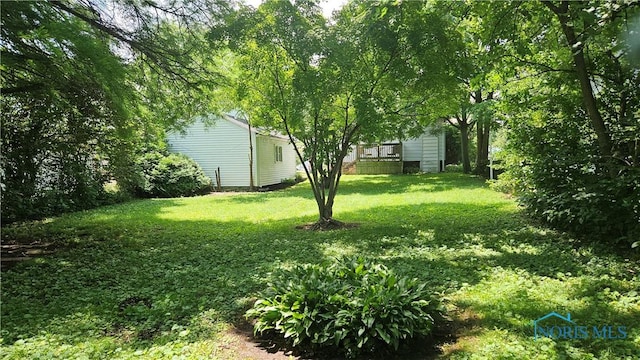 4024 Commonwealth Ave, Toledo, OH 43612 - view of green lawn