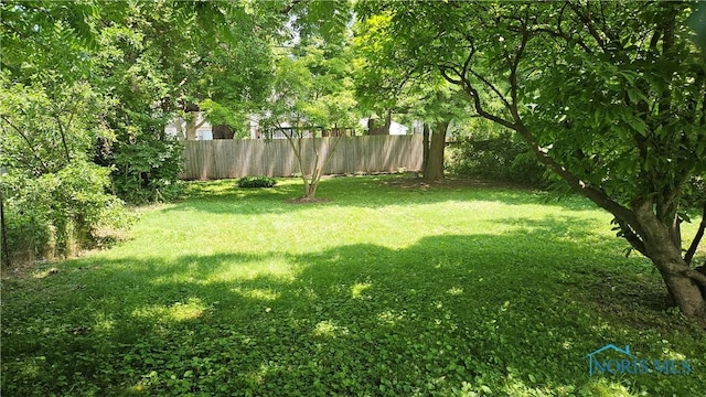 4024 Commonwealth Ave, Toledo, OH 43612 - view of yard