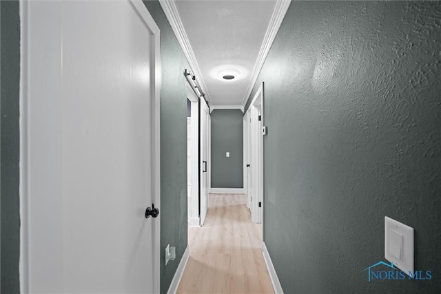 2521 Shallowford Dr, Toledo, OH 43611 - hallway with crown molding and light wood-style flooring