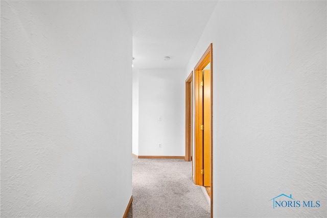 1528 Indian Creek Dr, Perrysburg, OH 43551 - corridor with carpet floors and baseboards