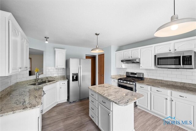 1528 Indian Creek Dr, Perrysburg, OH 43551 - kitchen featuring stainless steel appliances, under cabinet range hood, backsplash, and light wood-style flooring