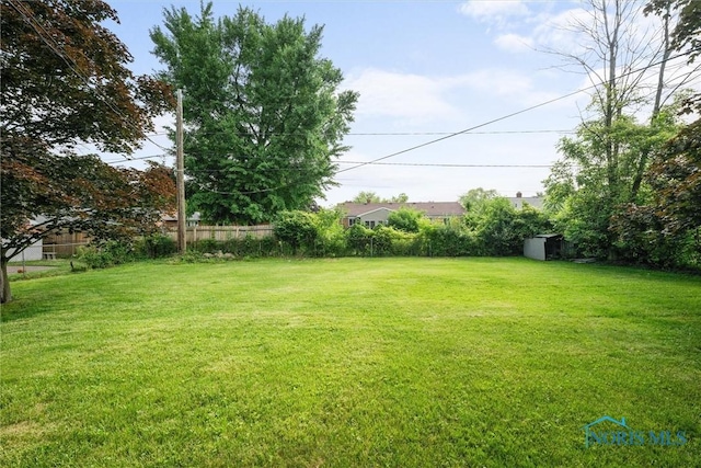 3171 Astor Ave, Toledo, OH 43614 - view of yard