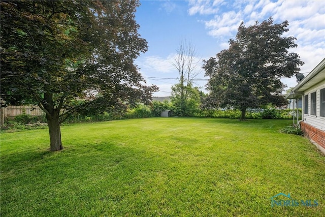 3171 Astor Ave, Toledo, OH 43614 - view of yard