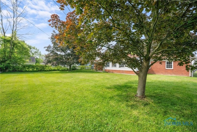 3171 Astor Ave, Toledo, OH 43614 - view of grassy yard