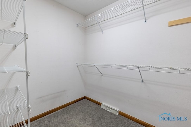 6666 Brick Yard Ct, Maumee, OH 43537 - walk in closet featuring carpet floors