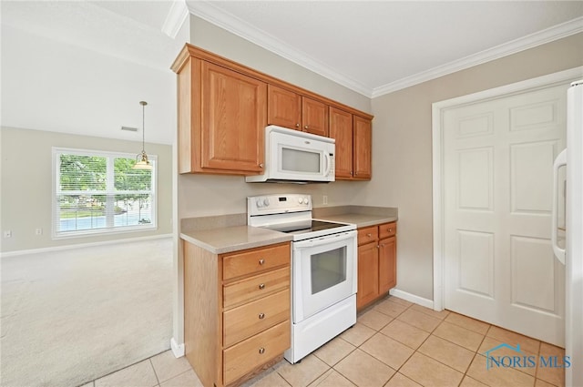 15711 Mahogany Trl Unit U10-D, Findlay, OH 45840 - photo 12