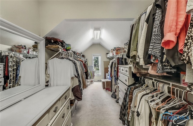 7257 Wembley Ter, Toledo, OH 43617 - spacious closet featuring vaulted ceiling and carpet floors