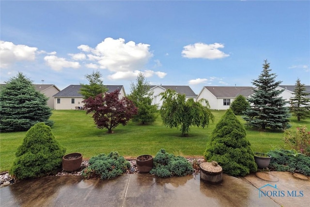 26332 Whitewater Dr, Perrysburg, OH 43551 - view of green lawn with a patio area