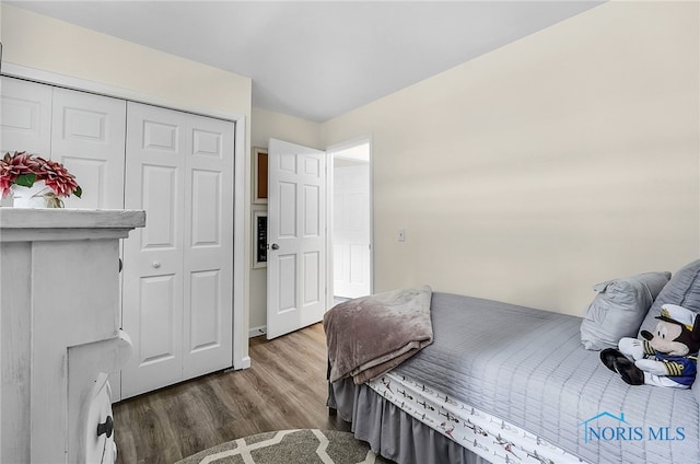 550 W 2nd St, Perrysburg, OH 43551 - bedroom with wood finished floors and a closet