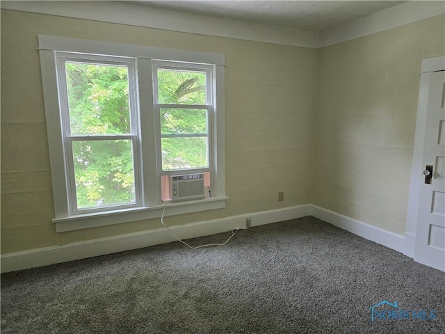 1019 Wayne Ave, Defiance, OH 43512 - carpeted spare room with cooling unit and plenty of natural light