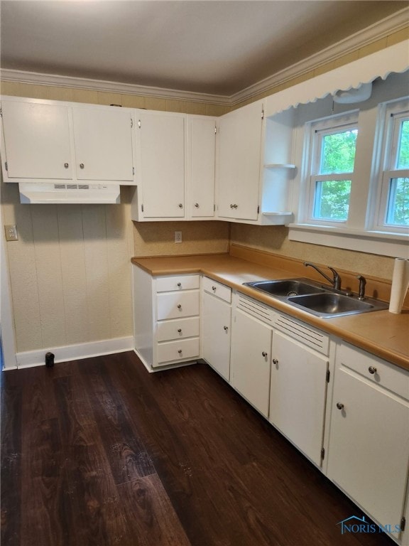 1019 Wayne Ave, Defiance, OH 43512 - kitchen with under cabinet range hood, dark wood-type flooring, white cabinetry, and crown molding