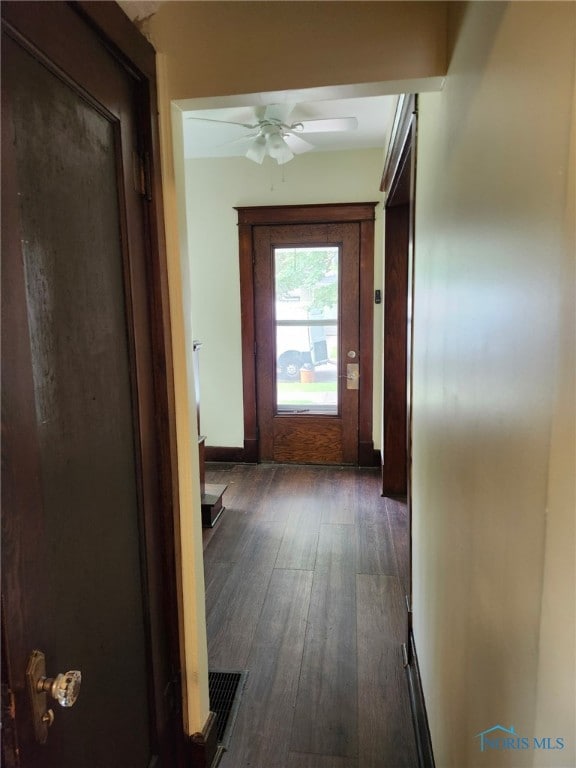 1019 Wayne Ave, Defiance, OH 43512 - corridor with dark wood-style floors