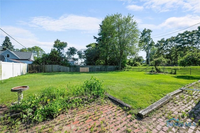 5542 N Summit St, Toledo, OH 43611 - view of fenced backyard