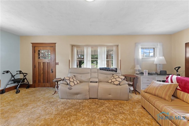 125 Cherry St, Wauseon, OH 43567 - view of carpeted living room