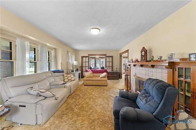 125 Cherry St, Wauseon, OH 43567 - living area featuring carpet, plenty of natural light, and a fireplace