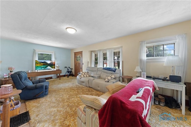 125 Cherry St, Wauseon, OH 43567 - carpeted living room featuring plenty of natural light