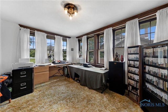 125 Cherry St, Wauseon, OH 43567 - view of carpeted home office