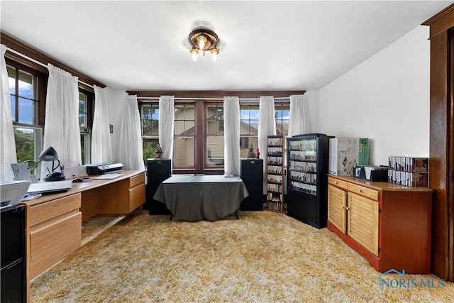 125 Cherry St, Wauseon, OH 43567 - view of home office