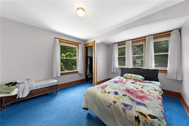 125 Cherry St, Wauseon, OH 43567 - carpeted bedroom featuring baseboards