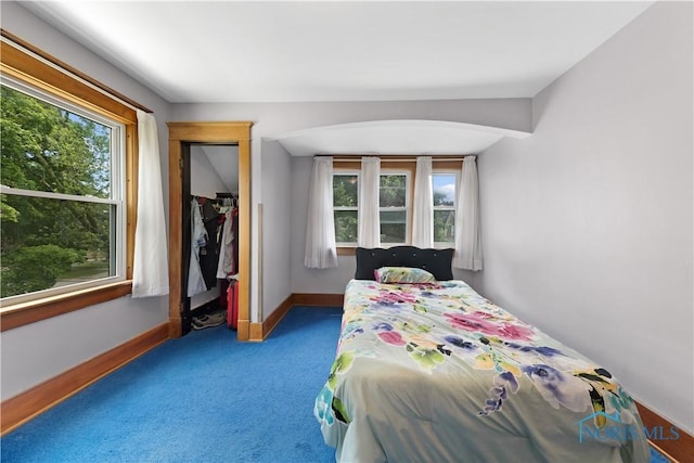 125 Cherry St, Wauseon, OH 43567 - bedroom with carpet and a closet