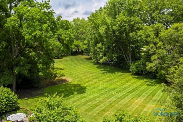 3000 Valley View Dr, Ottawa Hills, OH 43615 - photo 46