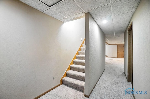 4871 Olde Meadow Ln, Sylvania, OH 43560 - staircase featuring carpet floors, a drop ceiling, and a textured wall