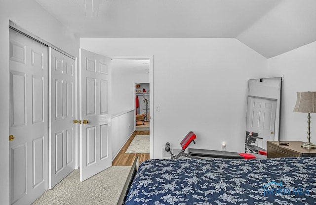 2923 Belle Glade Dr, Toledo, OH 43617 - bedroom featuring lofted ceiling and a closet