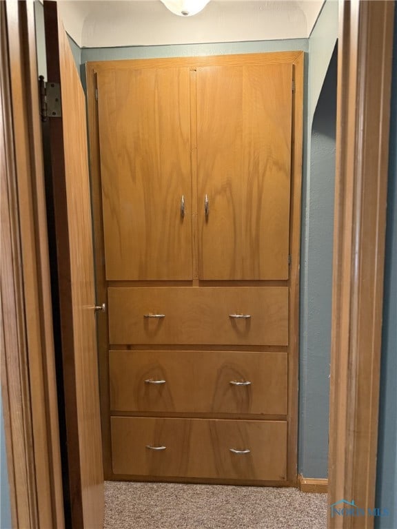 441 S Pine St, Deshler, OH 43516 - detailed view of carpet flooring