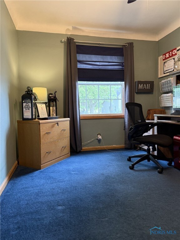 441 S Pine St, Deshler, OH 43516 - office featuring carpet flooring and baseboards