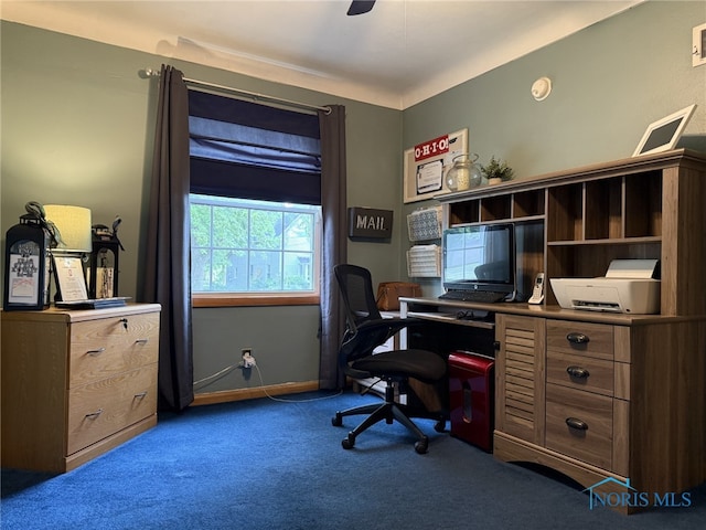 441 S Pine St, Deshler, OH 43516 - office featuring carpet floors and baseboards