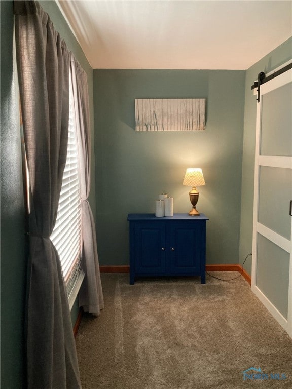 441 S Pine St, Deshler, OH 43516 - unfurnished bedroom with a barn door and carpet floors